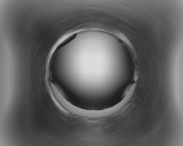 X0000083551528200703091543
