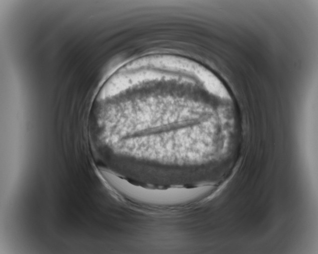 X0000083551529200703091543
