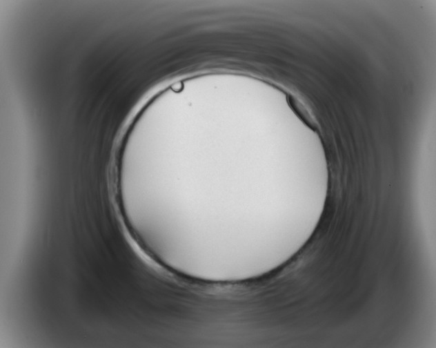 X0000083551531200703091543