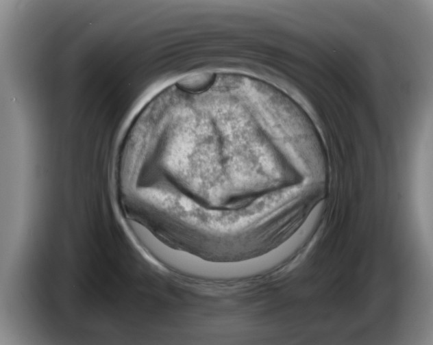 X0000083551533200703091543
