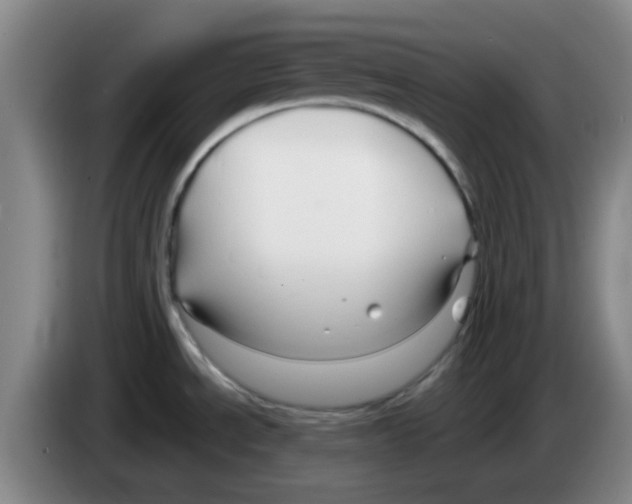 X0000083551534200703091543