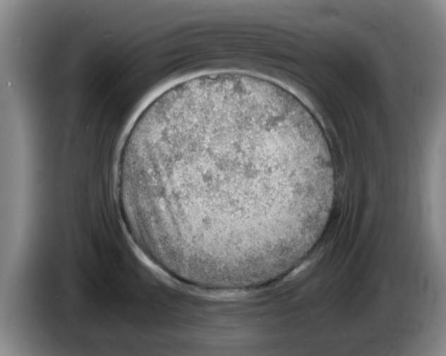 X0000083551535200703091543