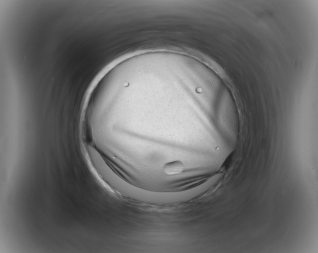 X0000083551536200703091544