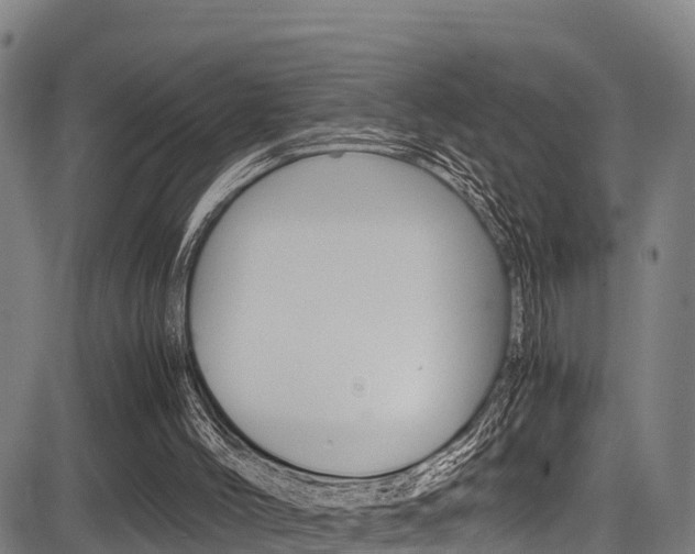 X0000083560004200702090826