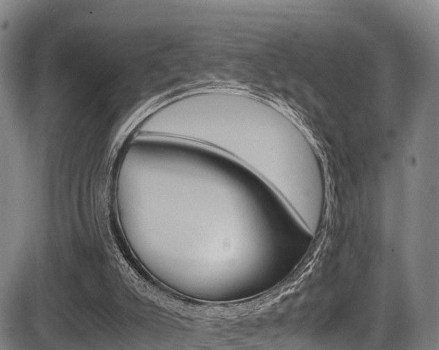 X0000083560007200702090826