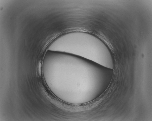 X0000083560014200702090826