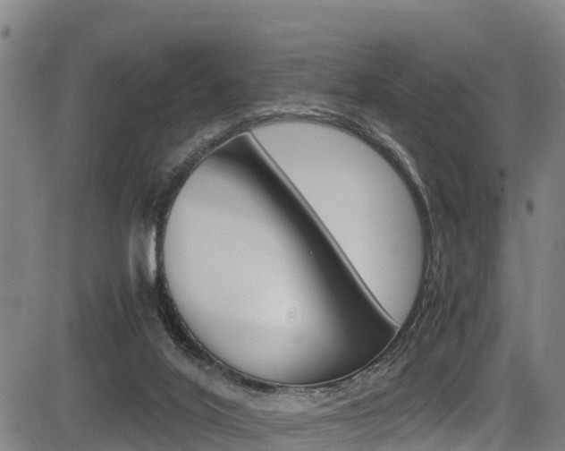 X0000083560020200702090826