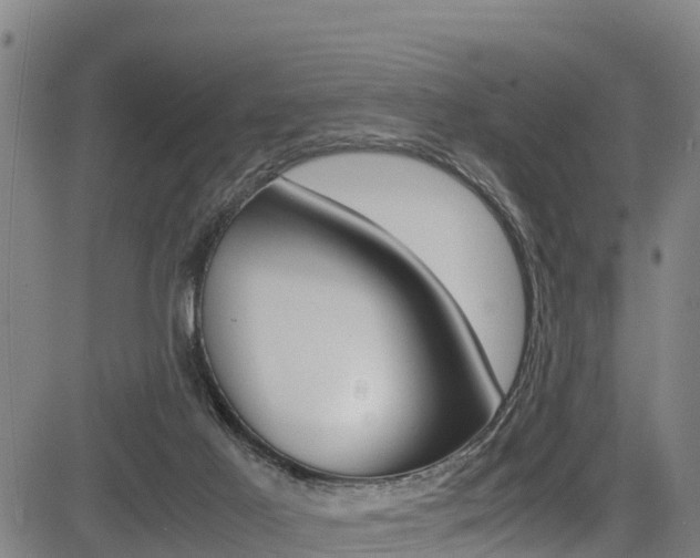 X0000083560021200702090826