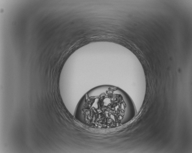 X0000083560045200702090826