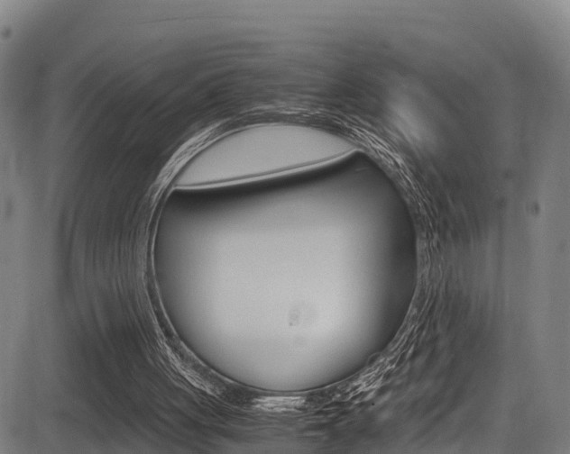 X0000083560051200702090825