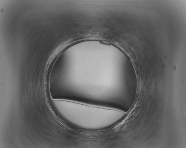 X0000083560055200702090825