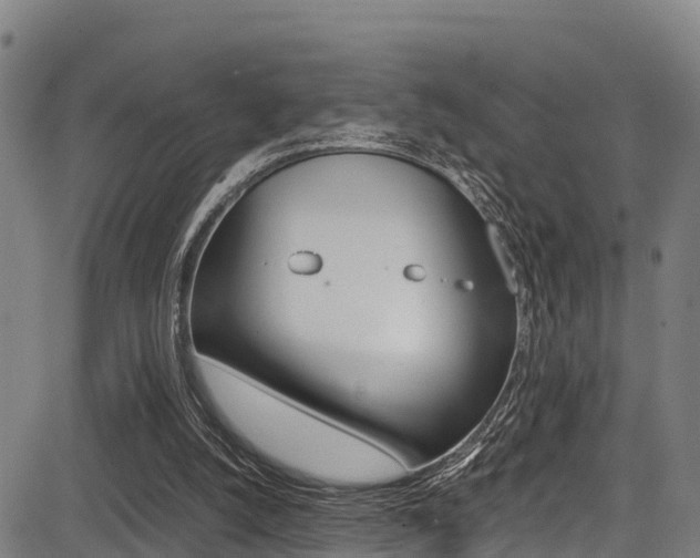 X0000083560056200702090825