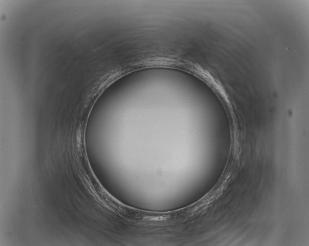 X0000083560057200702090825