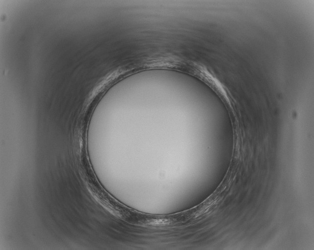 X0000083560059200702090825