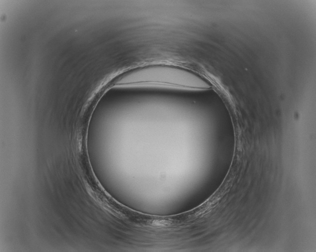 X0000083560060200702090825