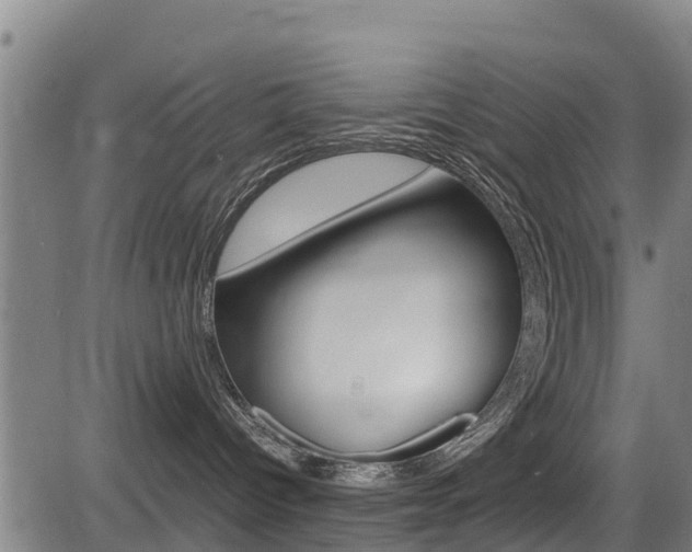 X0000083560096200702090826