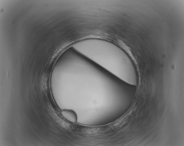 X0000083560106200702090825