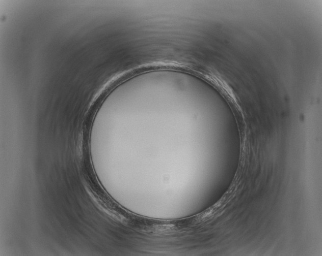 X0000083560108200702090825
