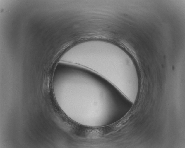 X0000083560115200702090825