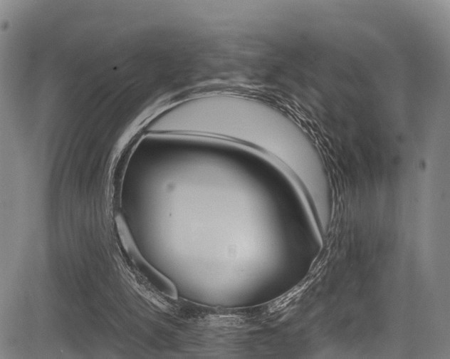 X0000083560150200702090823
