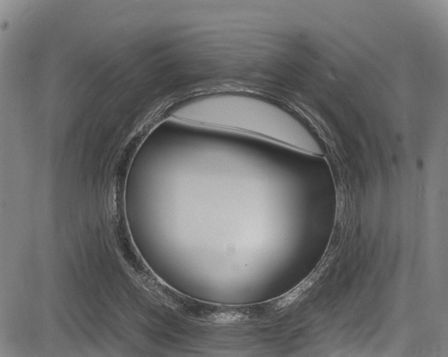 X0000083560158200702090824