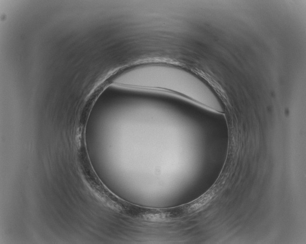 X0000083560160200702090824