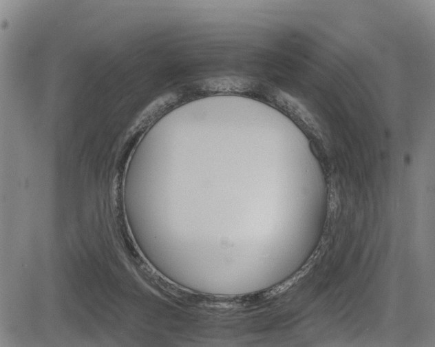 X0000083560163200702090824