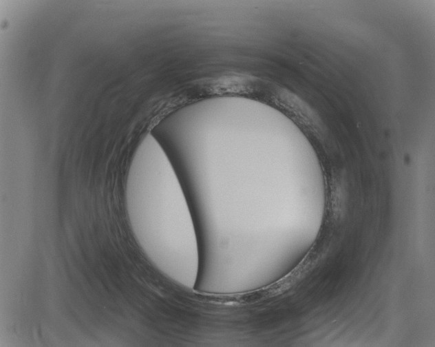 X0000083560169200702090824