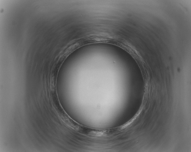X0000083560170200702090824