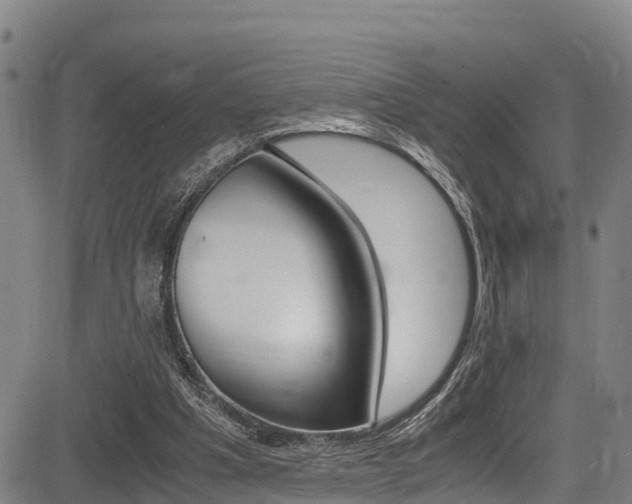 X0000083560201200702090823