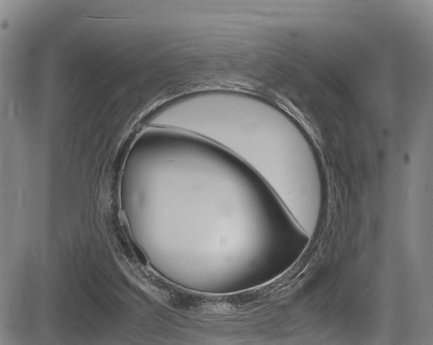 X0000083560203200702090823