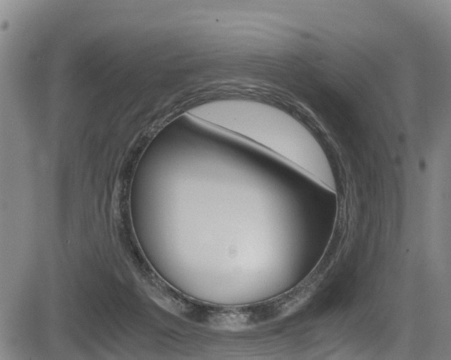 X0000083560217200702090823