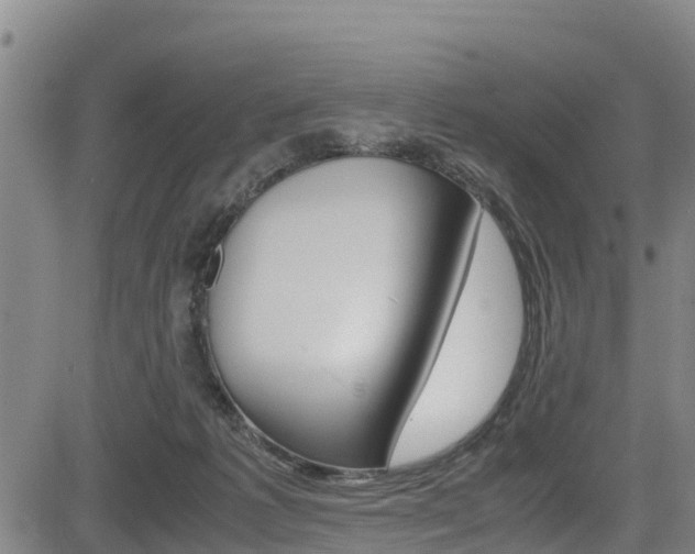 X0000083560221200702090823