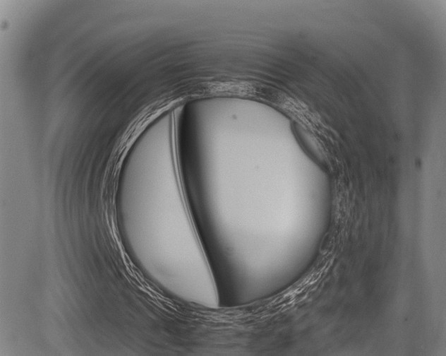 X0000083560241200702090822