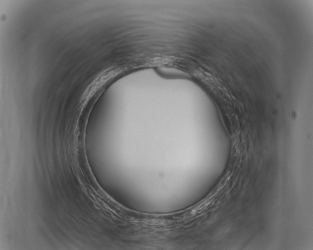 X0000083560242200702090822