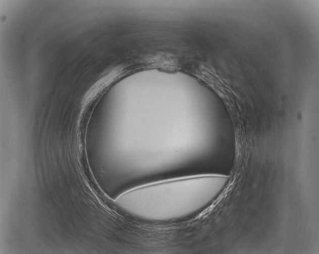 X0000083560245200702090822