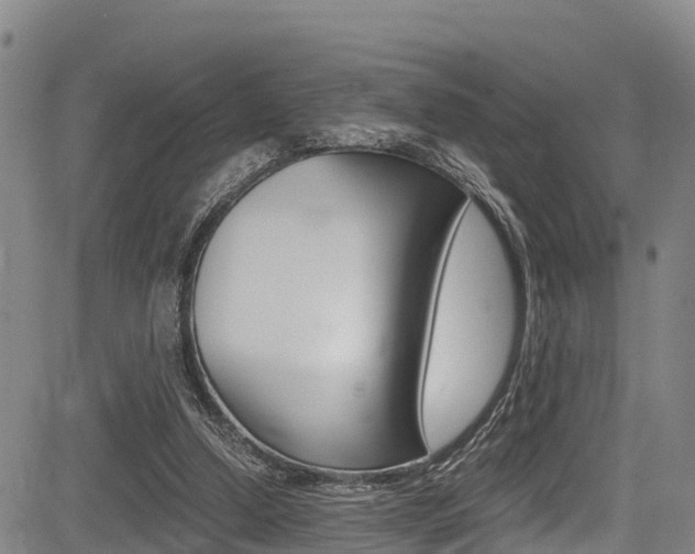 X0000083560250200702090822