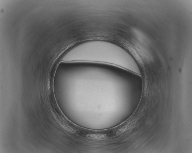 X0000083560251200702090822