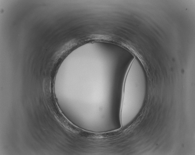 X0000083560253200702090822