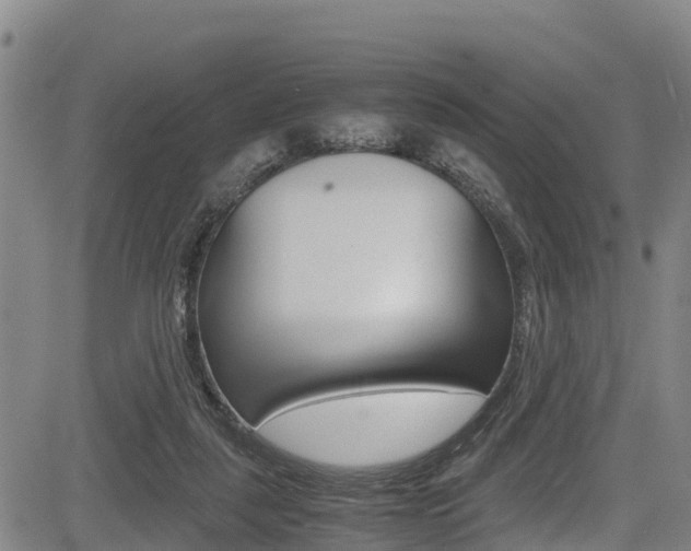 X0000083560259200702090822