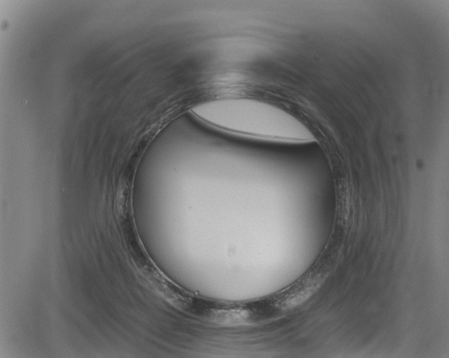 X0000083560266200702090822