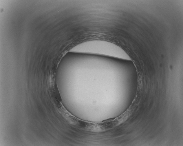 X0000083560276200702090822