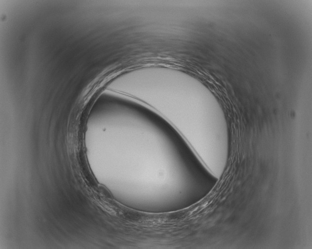 X0000083560291200702090822
