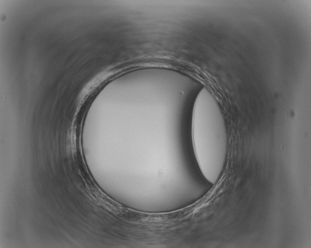 X0000083560294200702090822