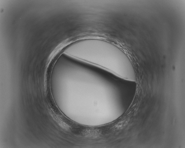 X0000083560296200702090822