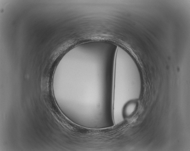 X0000083560299200702090822