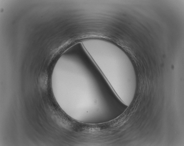 X0000083560304200702090822