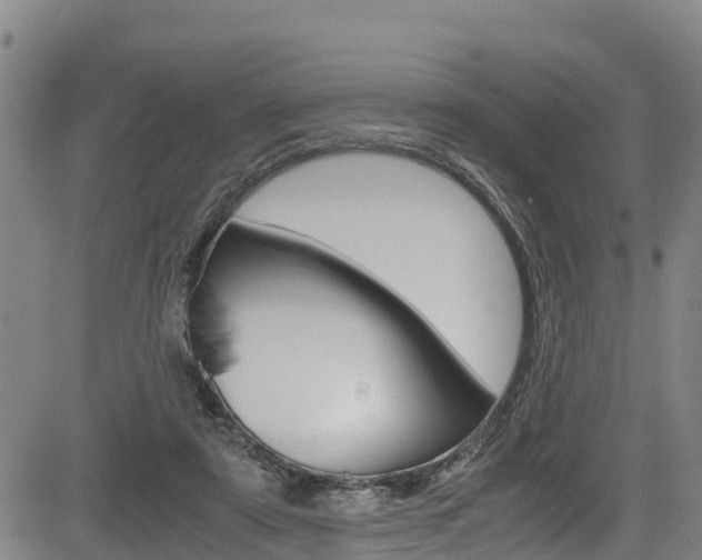 X0000083560307200702090821