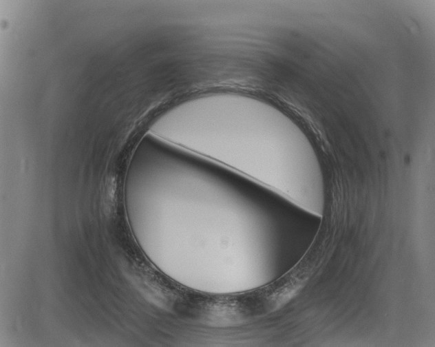 X0000083560308200702090821