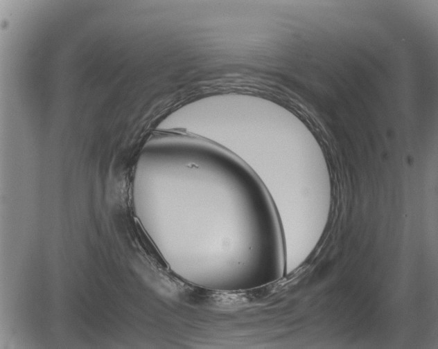 X0000083560333200702090821